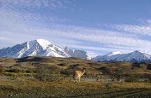 Puerto Natales: Full day tour Torres del Paine