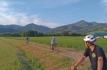 Tuscan countryside bike tour and food tasting