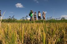 Explore Ubud with Electric Bike