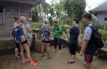 Explore Ubud with Electric Bike