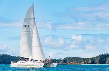 Island Hopper Day Cruise - sailing to wildlife sanctuary island - 6 hr cruise