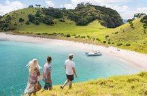 Island Hopper Day Cruise - sailing to wildlife sanctuary island - 6 hr cruise