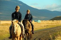 Family Friendly Horse Riding Tour in Skagafjörður