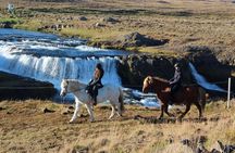 Horse Riding Tour to the Glacier River Delta with Waterfall