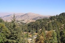 DeirElkamar, Beitdeen, Moussa Palace, EinwZien Grotto,Full-Day Trip PRIVATE-CAR