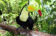 Combo Tour Cave Tubing and Xunantunich Mayan Site - fun day in Belize