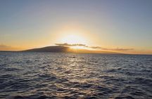 From Ma'alaea Harbor: Sunset Dinner Cruise Aboard the Quicksilver