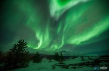 Tromsø: Small Group Northern Lights Hunt
