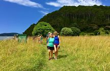 3 Hours // Hole in the Rock Cruise & Bay of Islands Tour