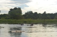2 Days Family Safari to Murchison Falls Park Uganda
