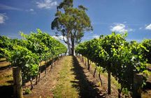 Small Group Adelaide Hills and Hahndorf Hideaway Tour from Adelaide