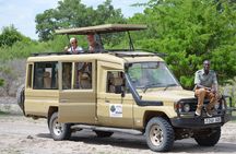 Mikumi National Park From Zanzibar Road Trip 3 Days 2 Nights 