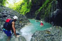 Oslob Whale shark swimming & Canyoneering Adventure, Kawasan Falls Day Tour
