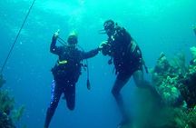 2 Tank Roatan Fun Dive, Boat Sightseeing Tour, including ground transportation