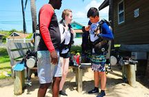 Roatan Discover Scuba Diving Experience