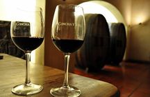 New Concha y Toro Tour Marques with class, extra tasting y food