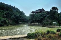 Giant Panda and Dujinagyan Irrigation 1 day tour
