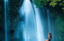 Oslob Whale shark swimming & Canyoneering Adventure, Kawasan Falls Day Tour