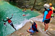 Oslob Whale shark swimming & Canyoneering Adventure, Kawasan Falls Day Tour