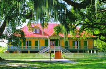 Oak Alley and Laura Plantation Tour with Transportation from New Orleans