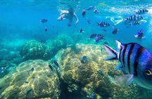 Day Tour to Angthong Marine Park by Insea Speedboat from Koh Samui