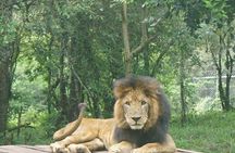 Nairobi National Park Half-Day Tour; Free Wi-Fi connection