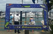 Private City tour and Panama Canal visit