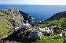 Ring of Kerry & Skellig Ring Private Day Tour