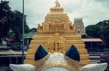 Srisailam Temple full day excursion tour