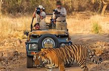 7 Days Golden Triangle Tour & Ranthambore Tiger Safari