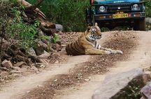 7 Days Golden Triangle Tour & Ranthambore Tiger Safari