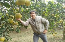 FARM TOUR AND HOME COOKING WITH LOCAL FAMILY IN HANOI 3-5 hours