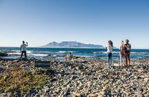 Full Day Private Robben Island & City