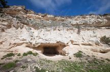 Full Day Private Robben Island & City