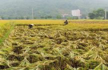 Private Tour: Day Tour of Mai Chau from Hanoi
