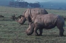 4 Day Garden Route Adventure & Safari