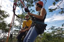 Tree Climbing in the Amazon