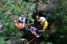 Tree Climbing in the Amazon