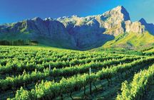 Luxury Wine Tour with Lunch