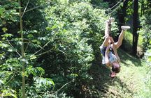 Zipline, Wildlife Park & Beach Jam-Packed Excursion