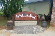 Appleton Estate Rum Private Tour