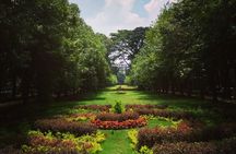 See Bangalore through my eyes (Cultural / Historical / Walking Tour)