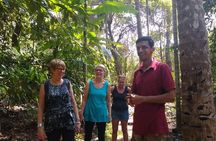 Private Goa tour of ancient rock art, laterite cave and bubble lake with lunch