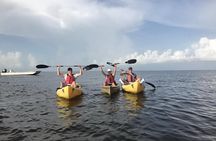 Small Group Boat, Kayak and Walking Guided Eco Tour in Everglades National Park