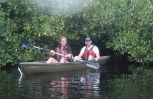 3 Hour Guided Mangrove Tunnel Kayak Eco Tour