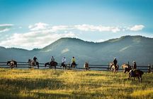 2 Hour Horseback Ride