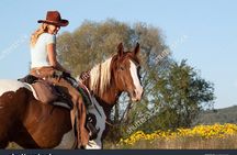 2 Hour Horseback Ride