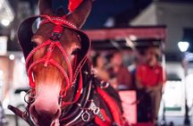 New Orleans Small-Group Haunted History Carriage Tour