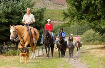 Half Day Walter Peak Horse Trek and Cruise from Queenstown