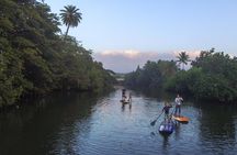 Private Stand up Paddle Lesson and Tour (for 1 or more paddlers)